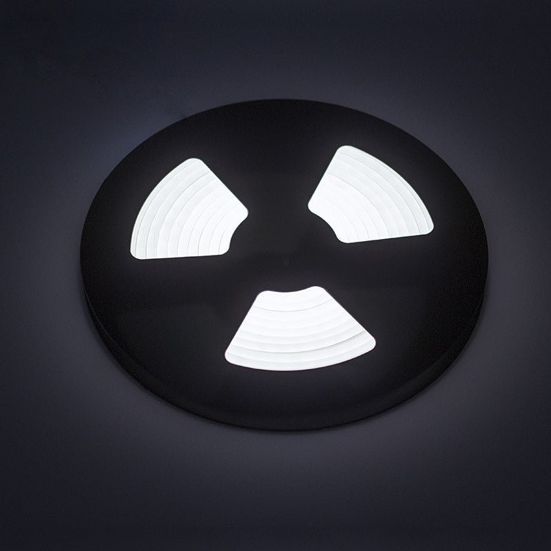 24V Neon Flex (100 LEDs/m 5m Rolle), 24V DC, IP65, 12W/m