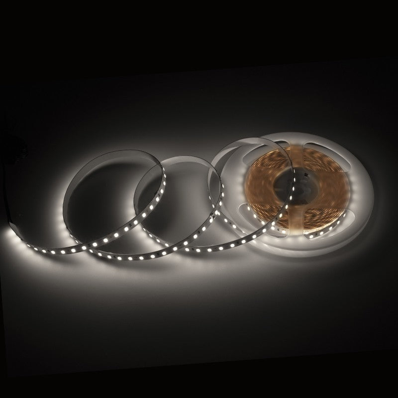 FUTURE LED Strip 560 112 LED/m Typ 2835 IP20 10,2W/m