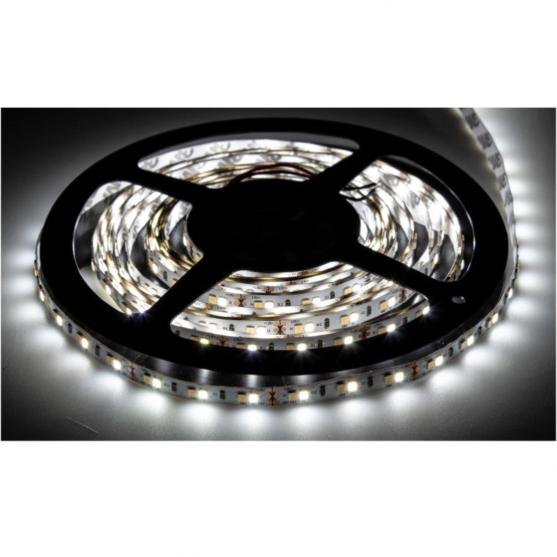 BICOLOR LED Strip PREMIUM 600 LED 12V (120 LED/1m) Dioden 2835 IP20 10W/m
