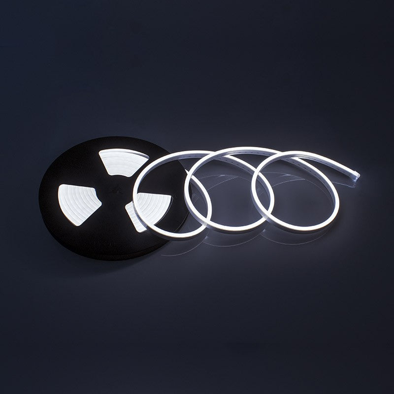 LED Strip Neon Flex (100 LED/m 5m Rolle), 12DC, IP65, 12W/m